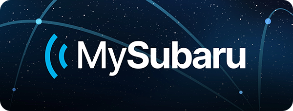 マイスバルコネクトサイト