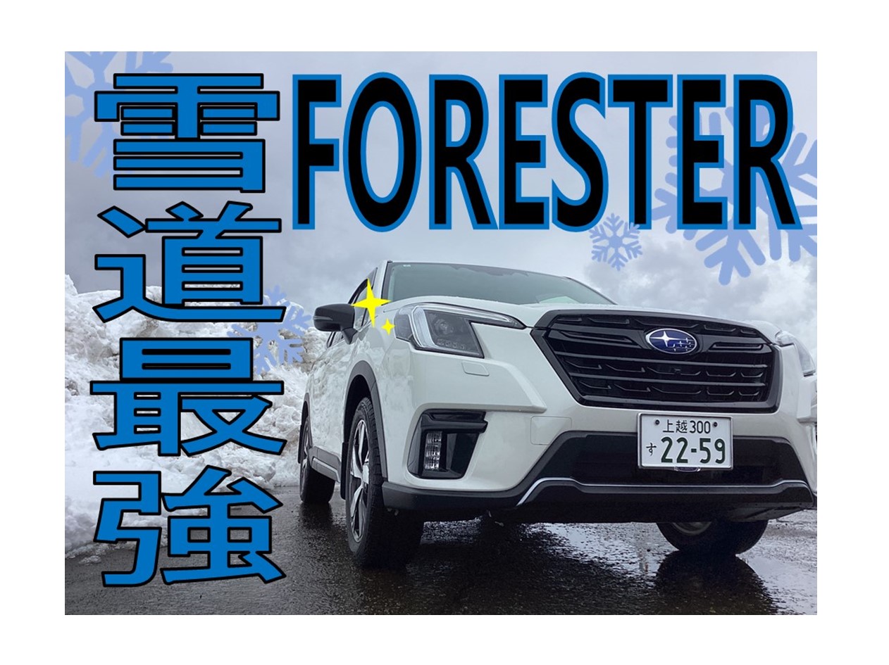 フォレスター　SK5　最強寒波