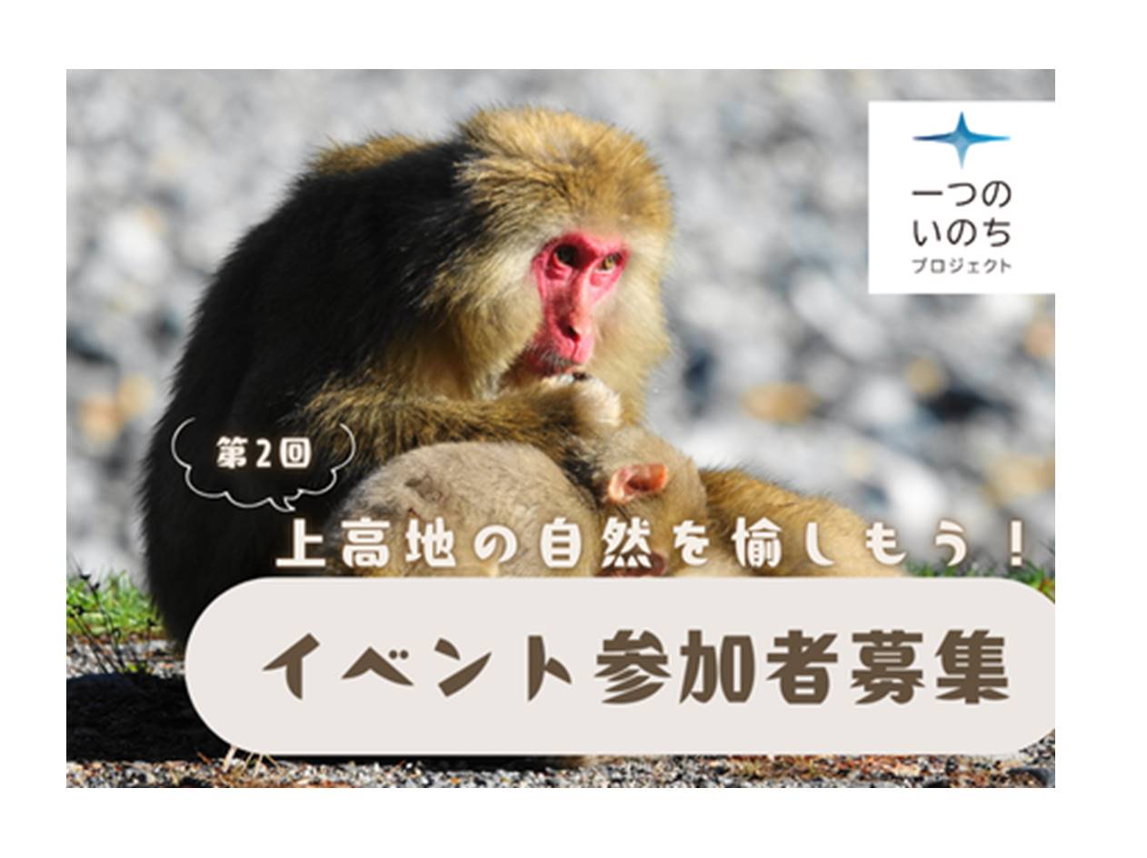 kamikouchi_2025.jpg