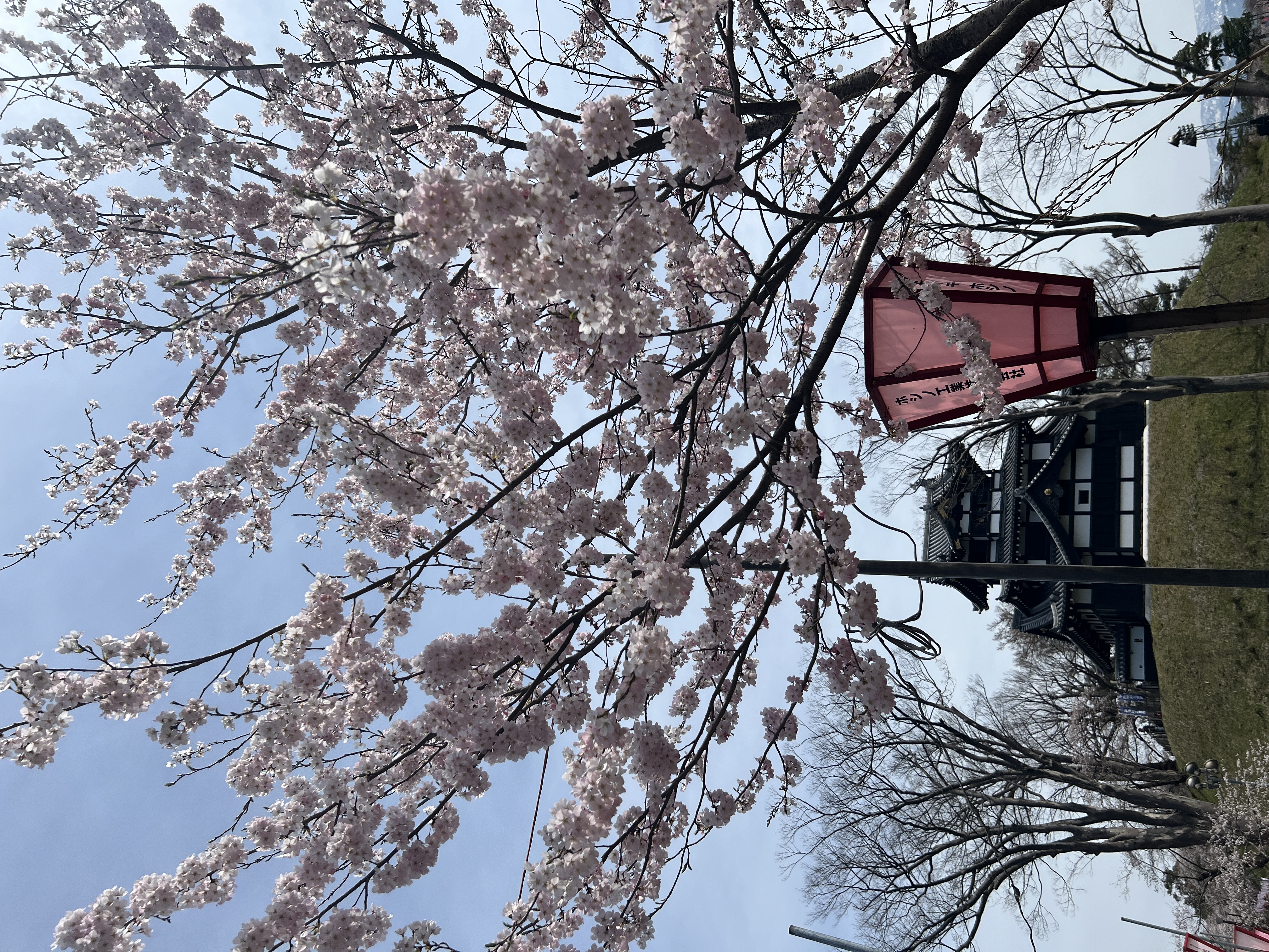 高田公園