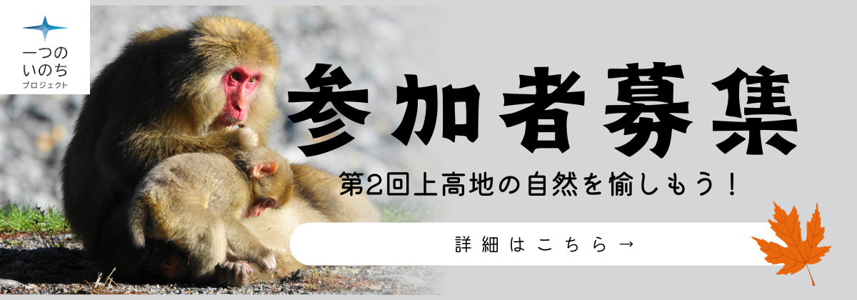 上高地の自然を愉しもう！